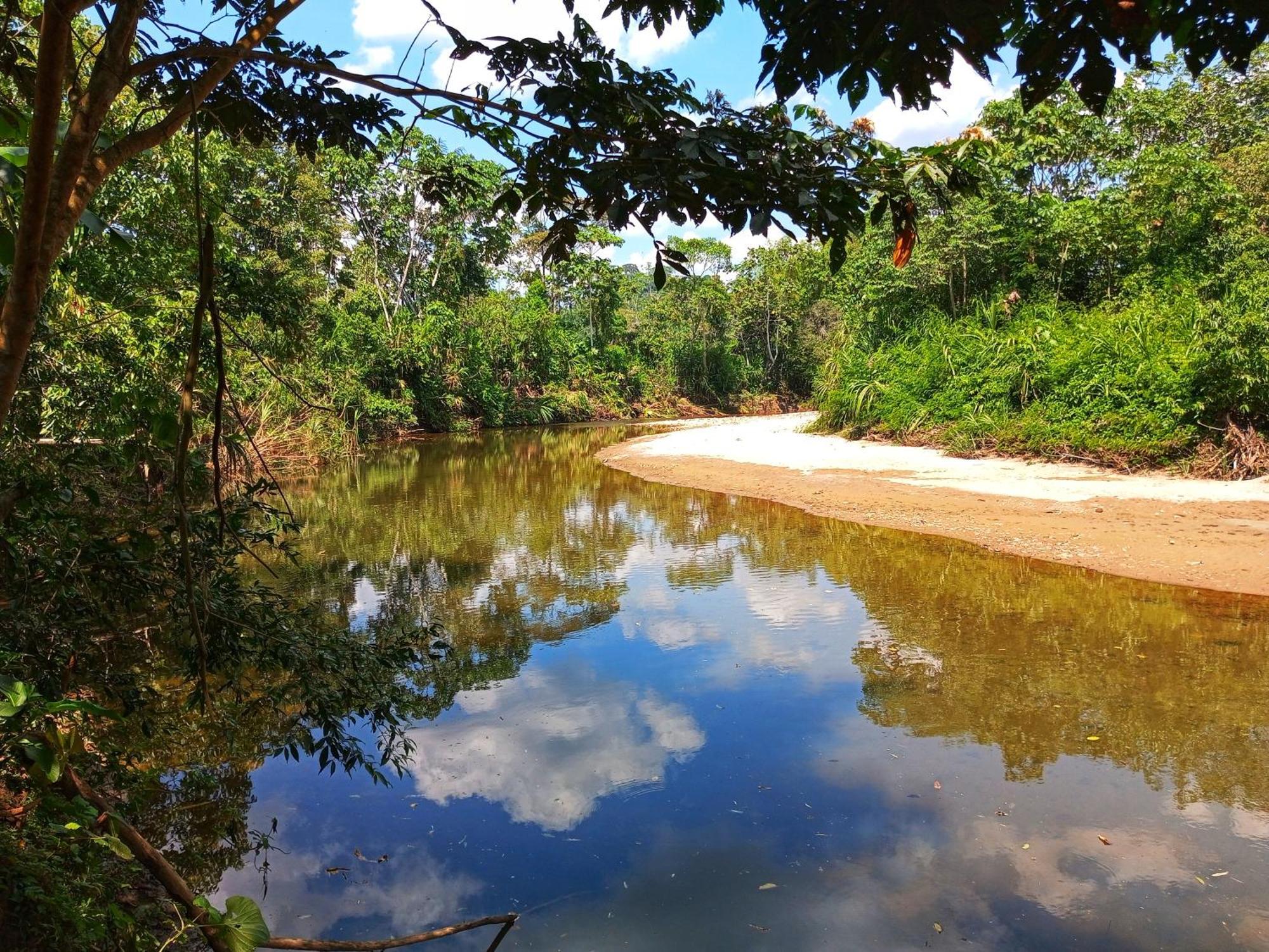 Cabanas Awana Río Arajuno Zewnętrze zdjęcie